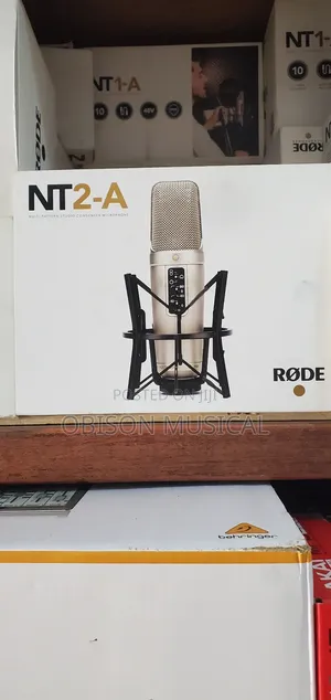 Studio Condenser Microphone
