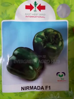 Hybrid Bell Pepper (Nirmada F1)