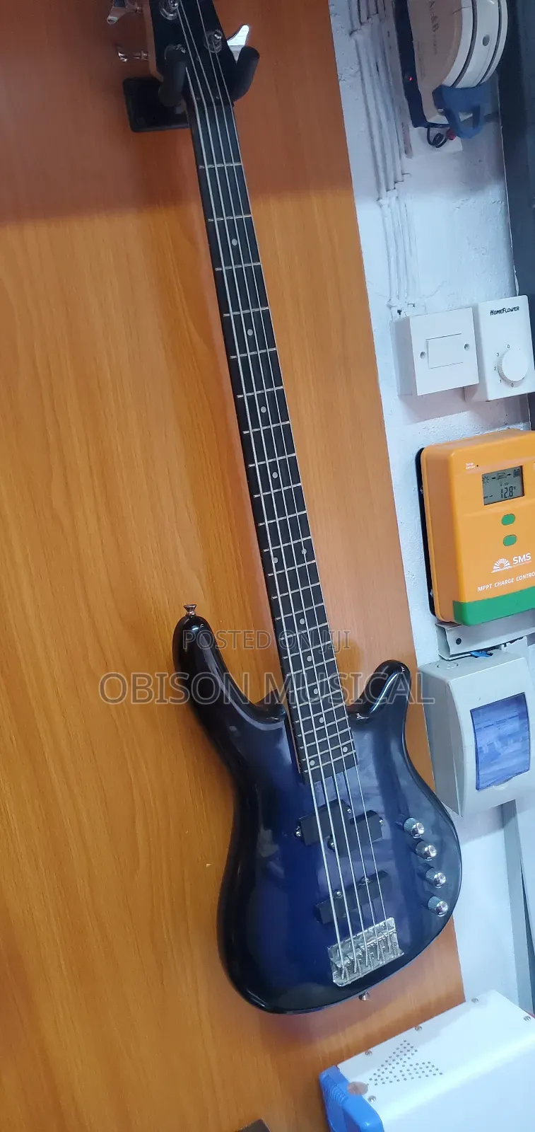 Bass Guitar