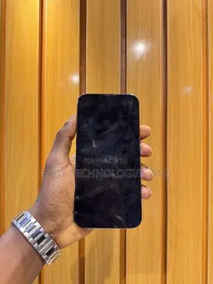 Apple iPhone 13 Pro Max 256 GB Black