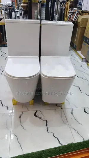 Master Wc With Basin and Pedestal
