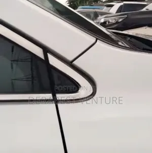 Side Mirror Pad Lexus Rx350