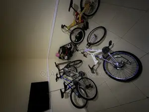 Bicycle Medium Size