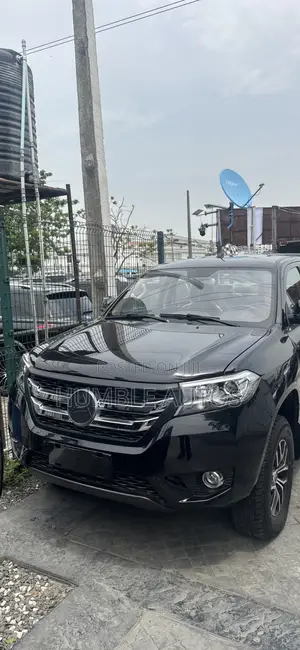New Dongfeng Lingzhi M3 2025 Black