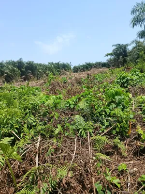 Plots of Land for Sale at Isashi Ojo Lagis