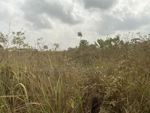 1 Plot of Land