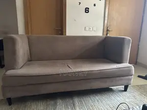 Clean Sofa