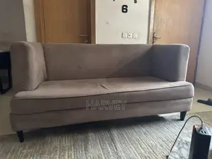 Clean Sofa