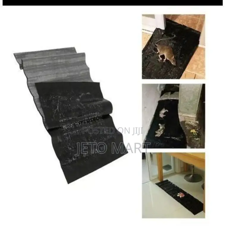 Long Rat Gum