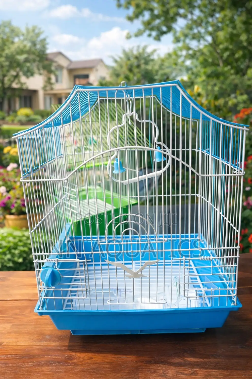 Bird Cages