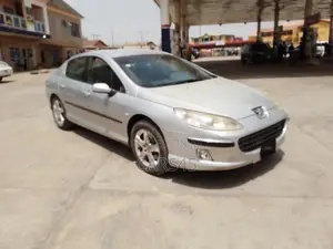 Peugeot 407 2004 Silver