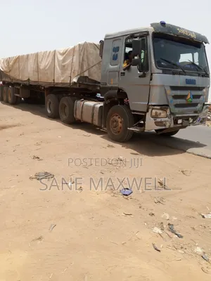 Dangote Cement and Bua Cement