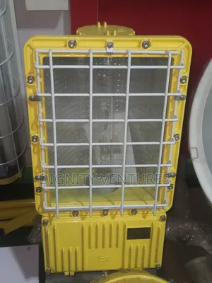 Flood Light Bulb/Led