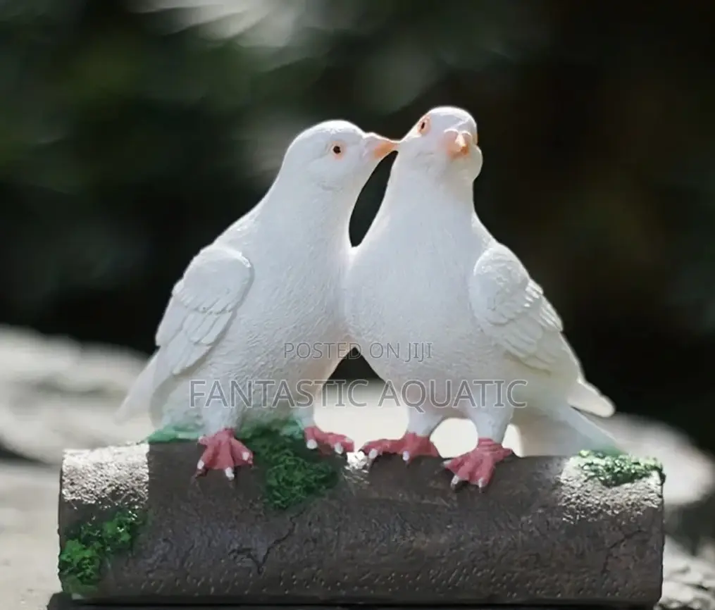White Dolf Birds