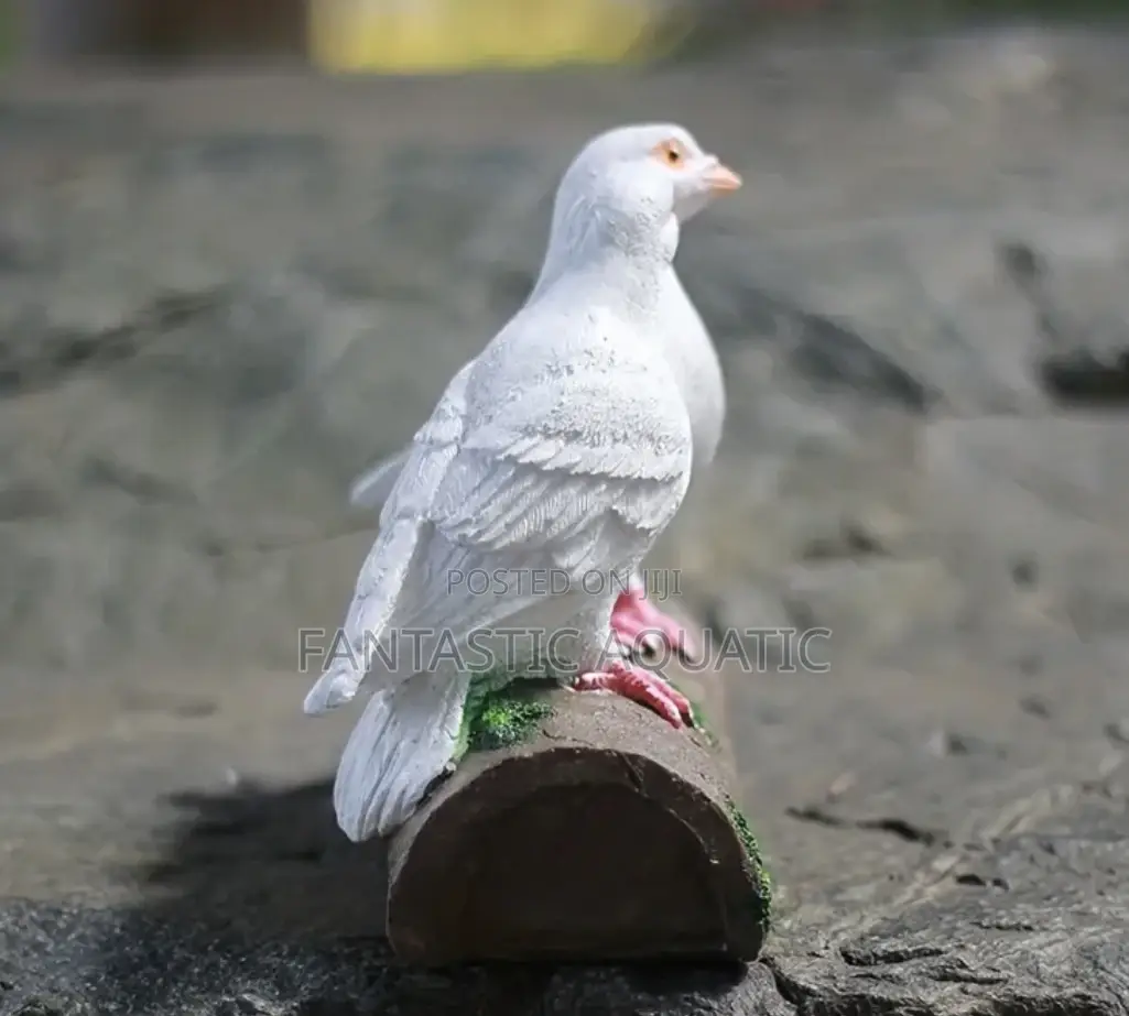 White Dolf Birds