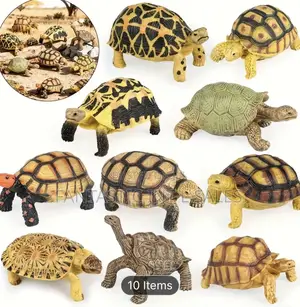 Available Turtles