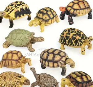 Available Turtles