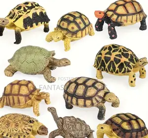 Available Turtles