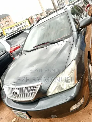 Lexus RX 330 2006 Gray