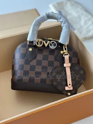 Louis Vuitton Mini Luxury Female Bag