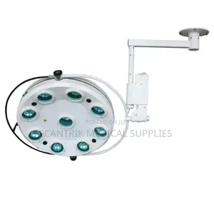 Mobile Surgical Operating Lamp for Flexible Use