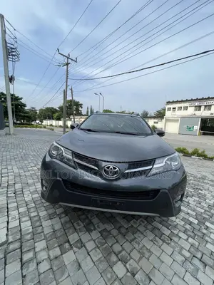 Toyota RAV4 XLE 4dr SUV AWD (2.5L 4cyl 6A) 2015 Gray