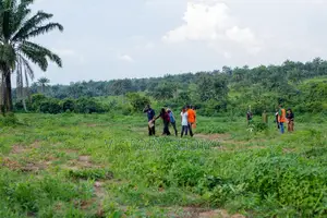 A Plot of Land at Palm City Phase 2, Akoore, Off Eruwa Road, Ibadan.