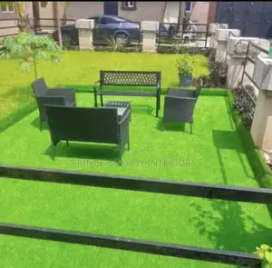 High Quality Carpet Grass