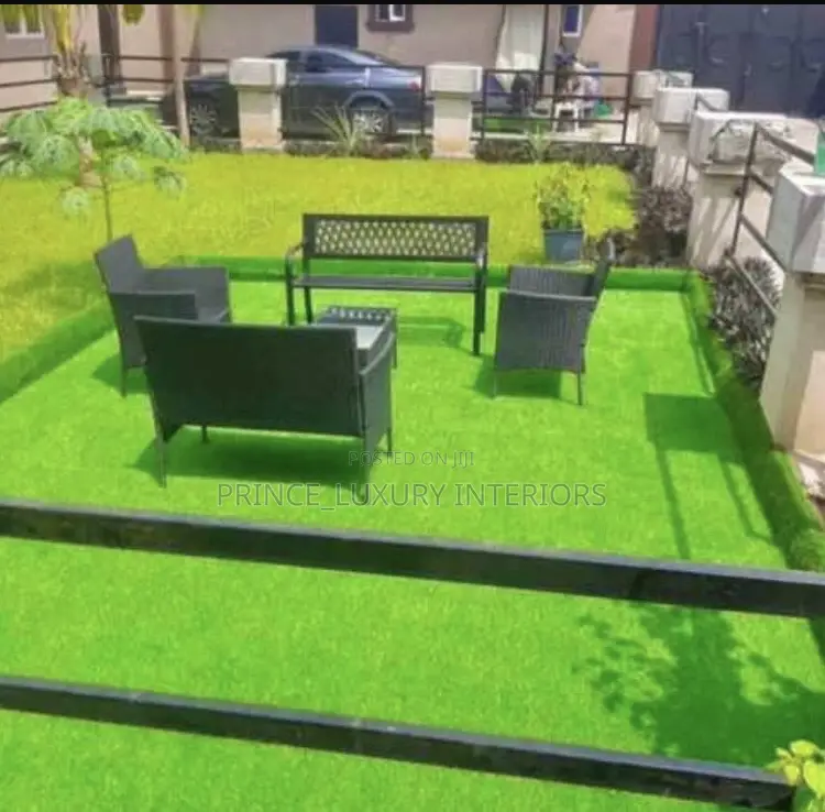 High Quality Carpet Grass