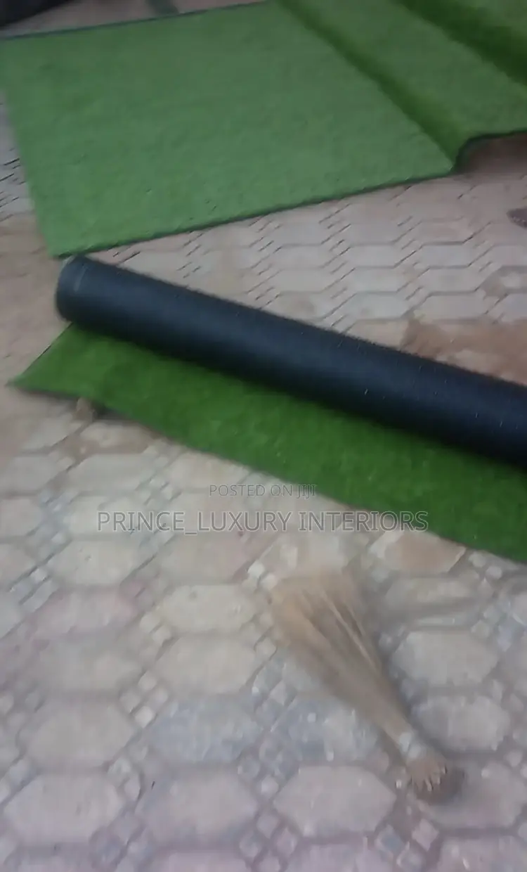 High Quality Carpet Grass