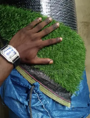 High Quality Carpet Grass