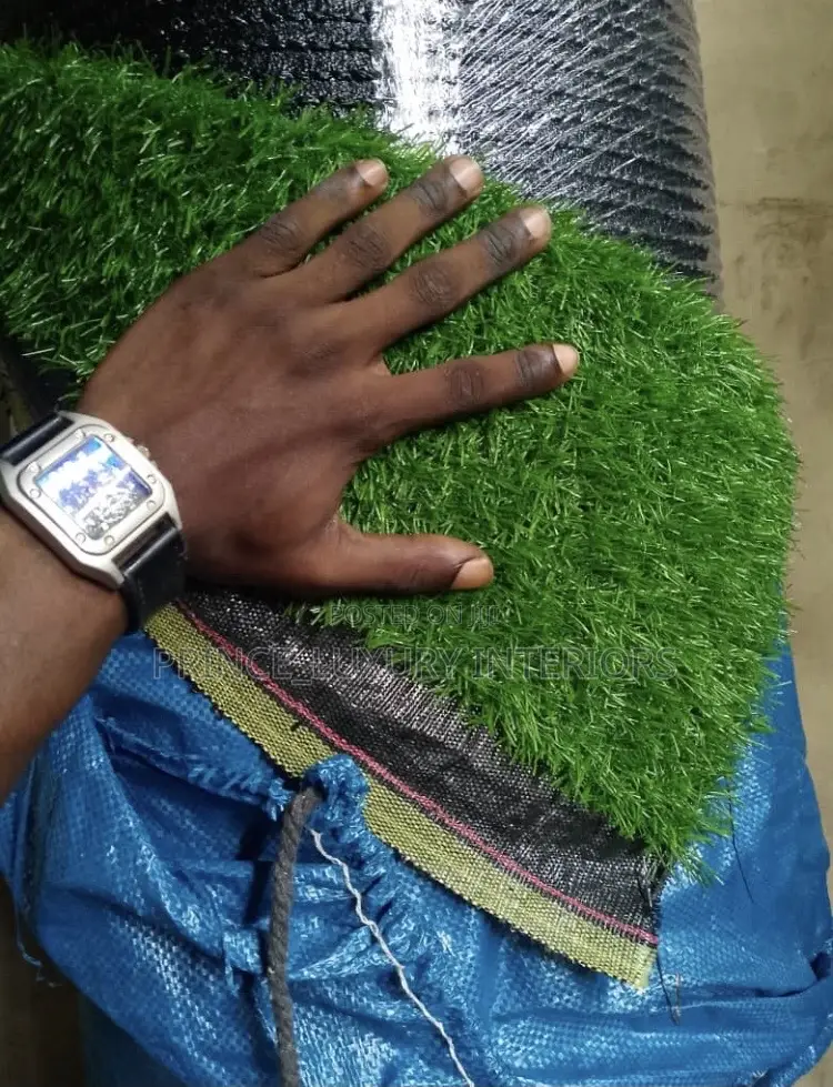 High Quality Carpet Grass