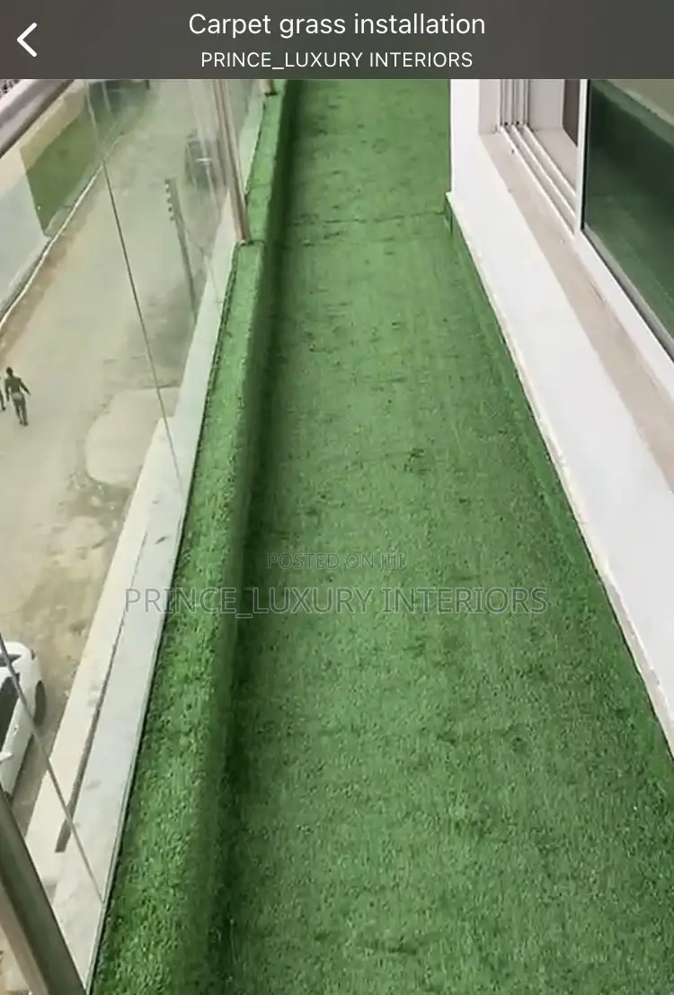 High Quality Carpet Grass