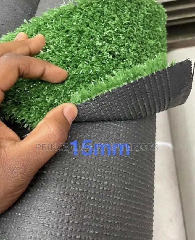High Quality Carpet Grass