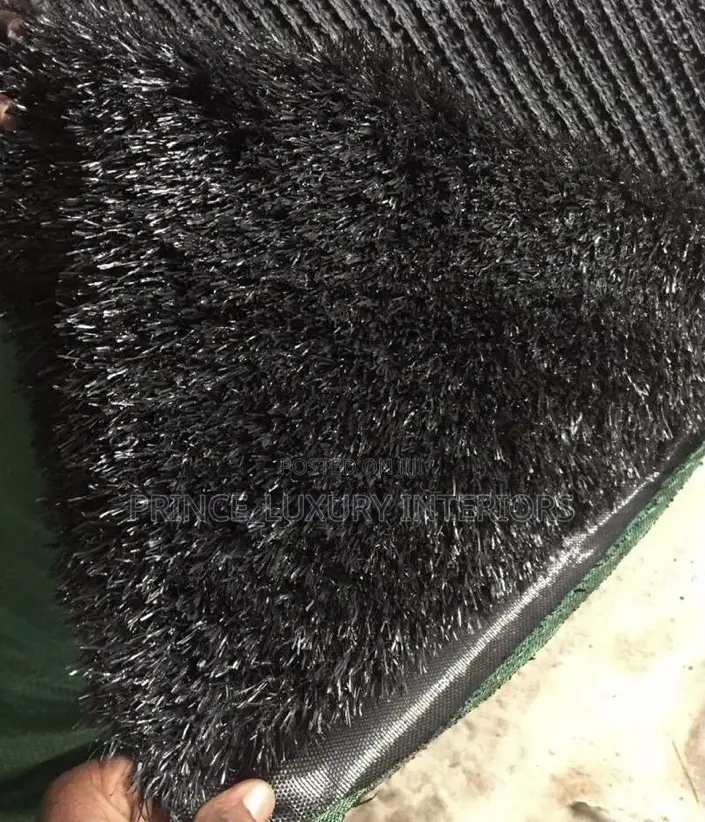 High Quality Carpet Grass