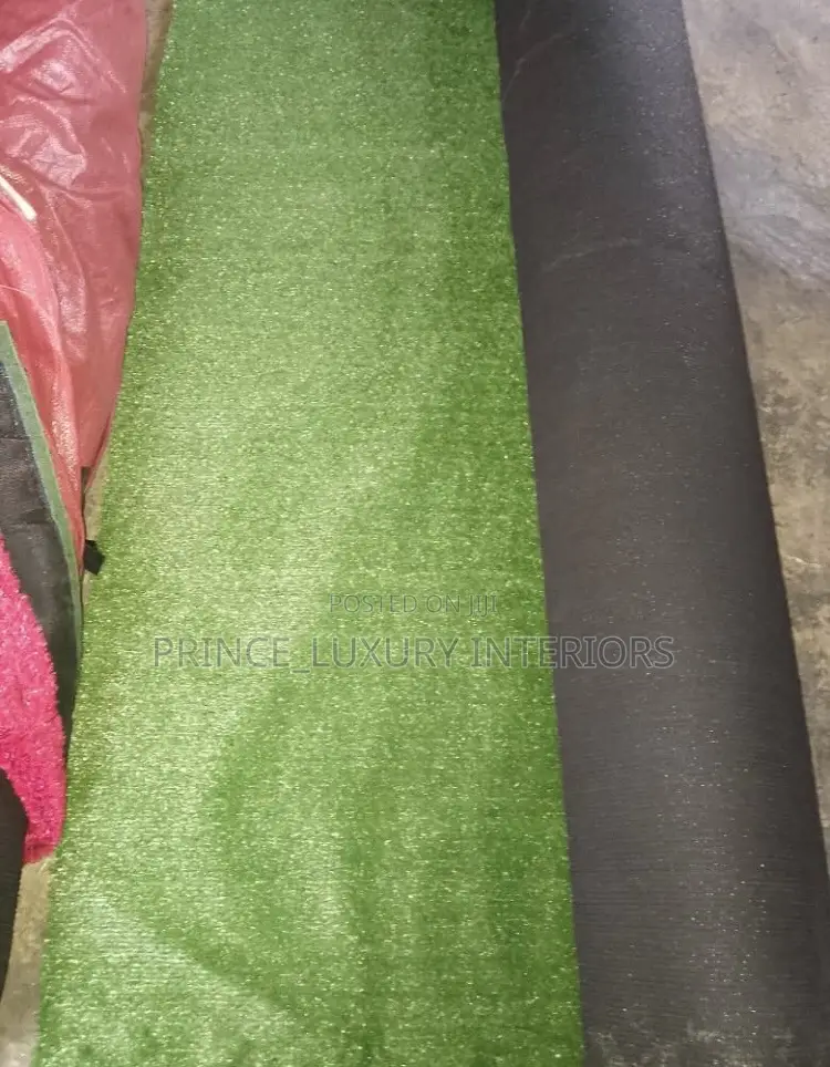 High Quality Carpet Grass