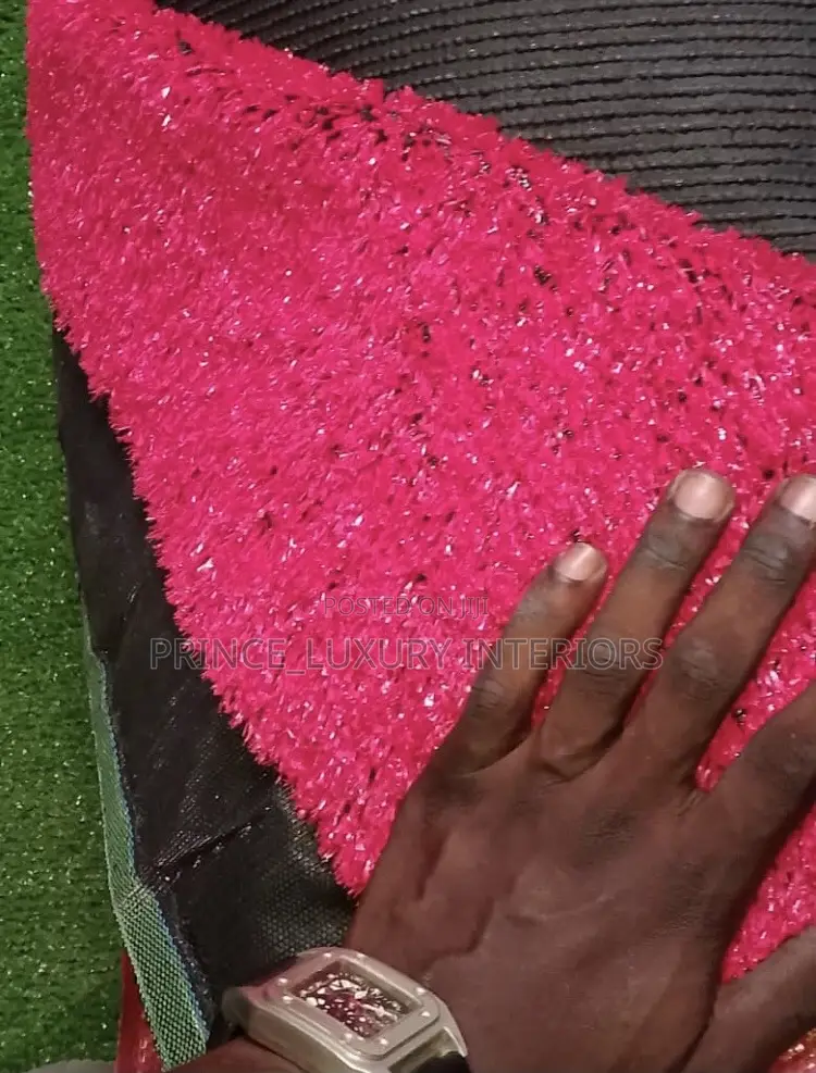 High Quality Carpet Grass