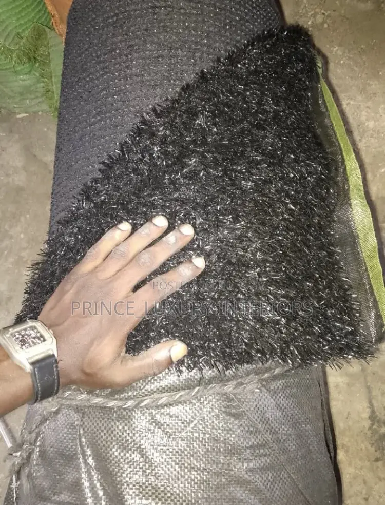 High Quality Carpet Grass