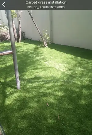 High Quality Carpet Grass