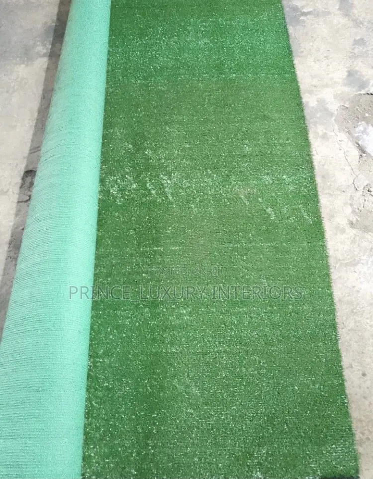 High Quality Carpet Grass