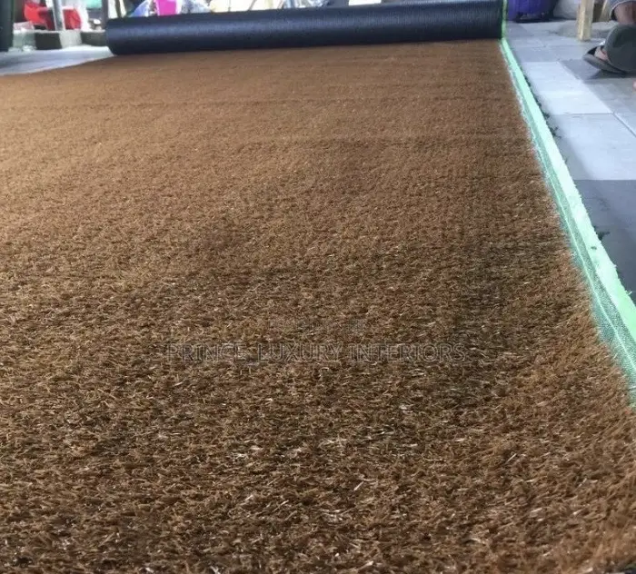 High Quality Carpet Grass