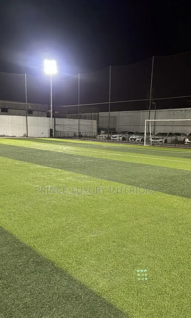 High Quality Carpet Grass