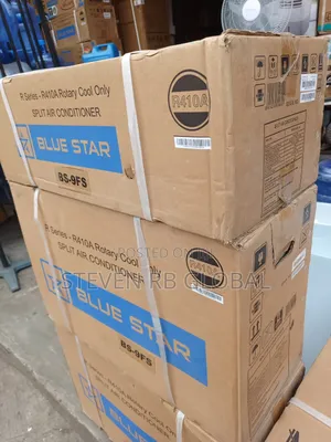 Bluestar 1hp Basic Split Air Conditioner | Bs-9fs (Hw09cryfb1-9fs)