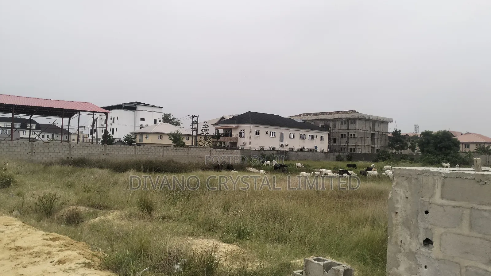 Certificate of Occupancy (Cofo)
