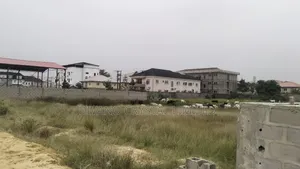 Certificate of Occupancy (Cofo)