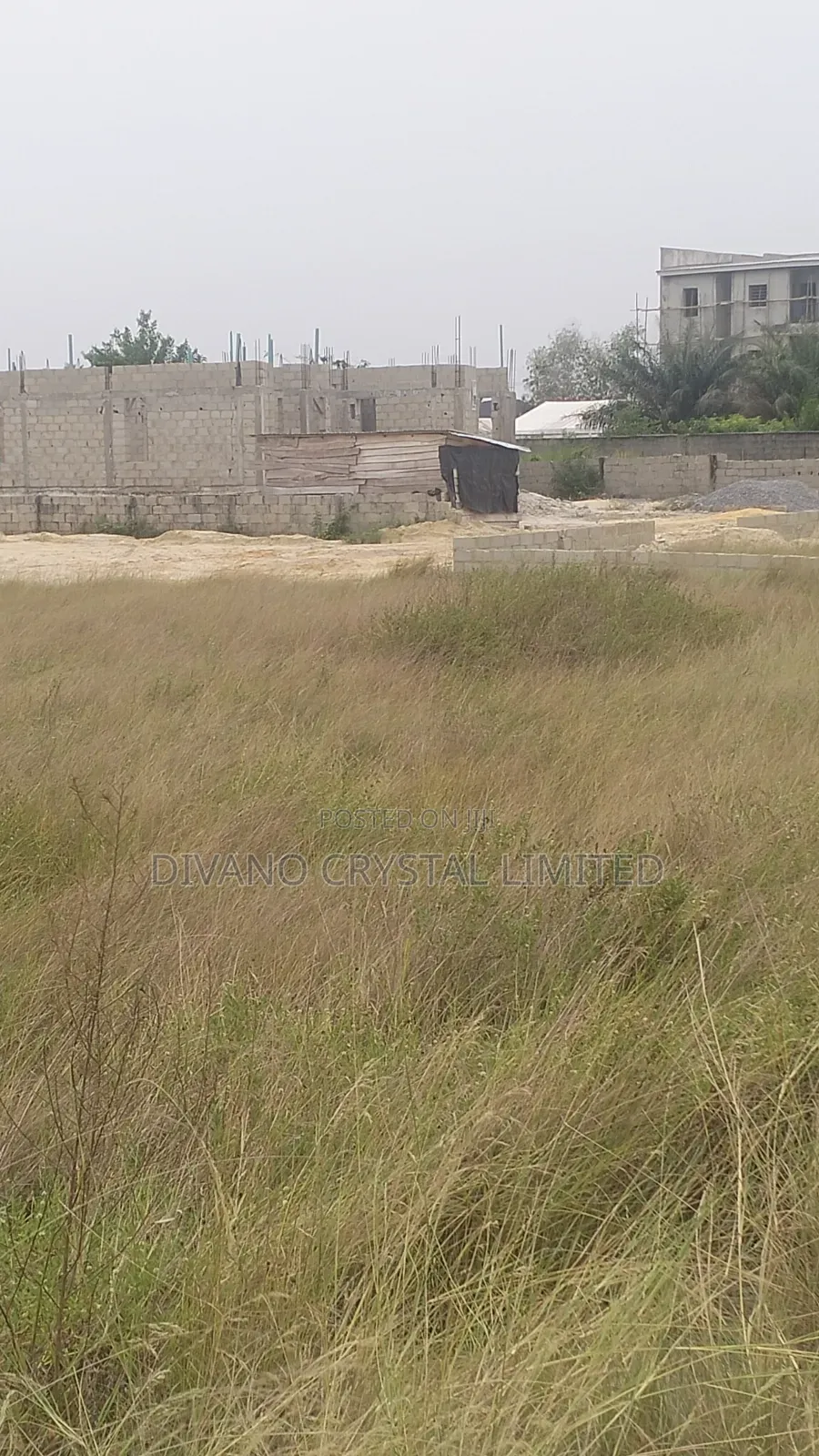 Certificate of Occupancy (Cofo)