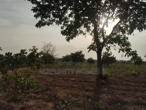 7 Acres of Fertile Farmland – Ladile Village, Iseyin, Oyo State