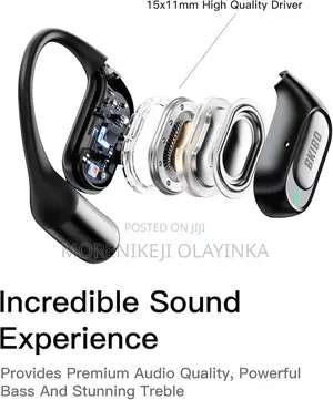 Witless Earphone