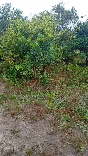100 Plots for Urgent Sale