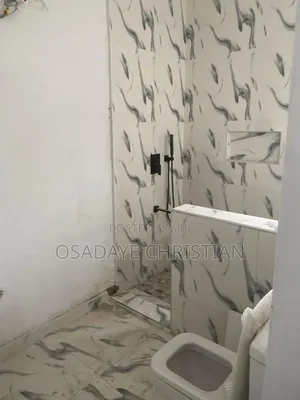 Furnished 2bdrm Block of Flats in Young Ag, Benin City for rent